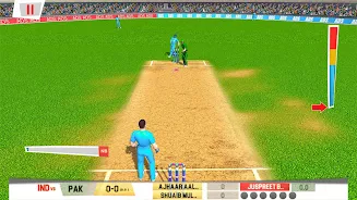 Real World Cricket Tournament Screenshot10