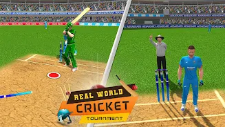 Real World Cricket Tournament Screenshot2