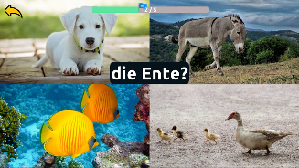 Learn Animals in German Screenshot7