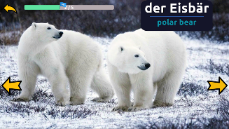 Learn Animals in German Screenshot8