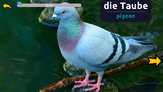 Learn Animals in German Screenshot3