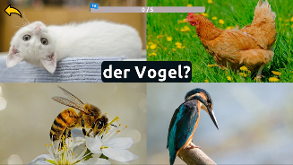 Learn Animals in German Screenshot4