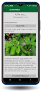 Obat Herbal 1001 Penyakit Screenshot3