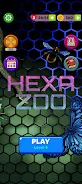Hexa Zoo Screenshot1