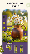 Puzzle Pix Screenshot4