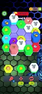 Hexa Zoo Screenshot4