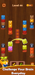 Colorwood Block - Sort Puzzle Screenshot6