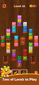 Colorwood Block - Sort Puzzle Screenshot4