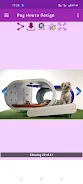 Dog House Design Screenshot4