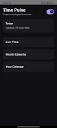 Time Pulse Screenshot1