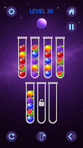Ball Sort Puzzle Game Screenshot5