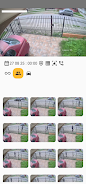 Camaras IA Screenshot4