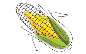 Coloring games vegetable paint Screenshot9
