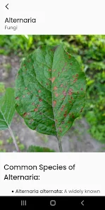 AI Plant Identify & Care Screenshot2