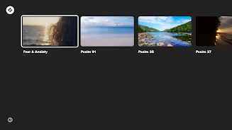 Zeal Screenshot10