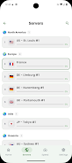 Mezi VPN: Fast & Secure Screenshot3