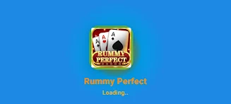 Rummy Perfect Screenshot1