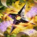Ninja Brawl: Endless Fight APK