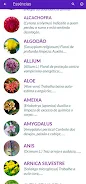 Florais de Saint Germain Screenshot2