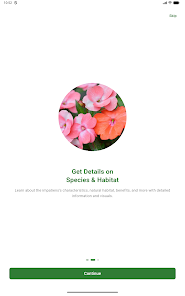 AI Impatiens Scanner Screenshot10