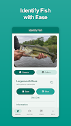 Fish Ace Screenshot1