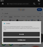 YizWeb Screenshot8