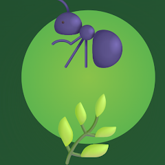 Weevil Master: Mint Snout Quiz APK