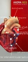 Insight Heart Screenshot8
