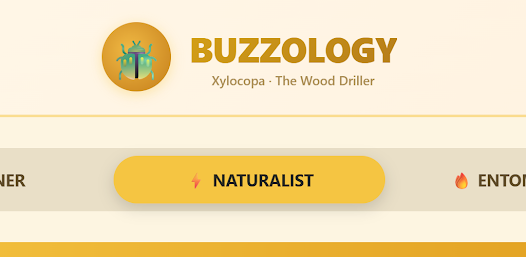BeeMaster: Xylocopa Quiz Screenshot1