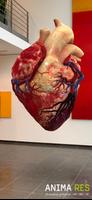 Insight Heart Screenshot4