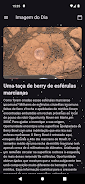 Rigel Voyager Screenshot2