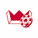 BetKing APK