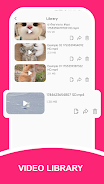 FT Video Downloader Screenshot3
