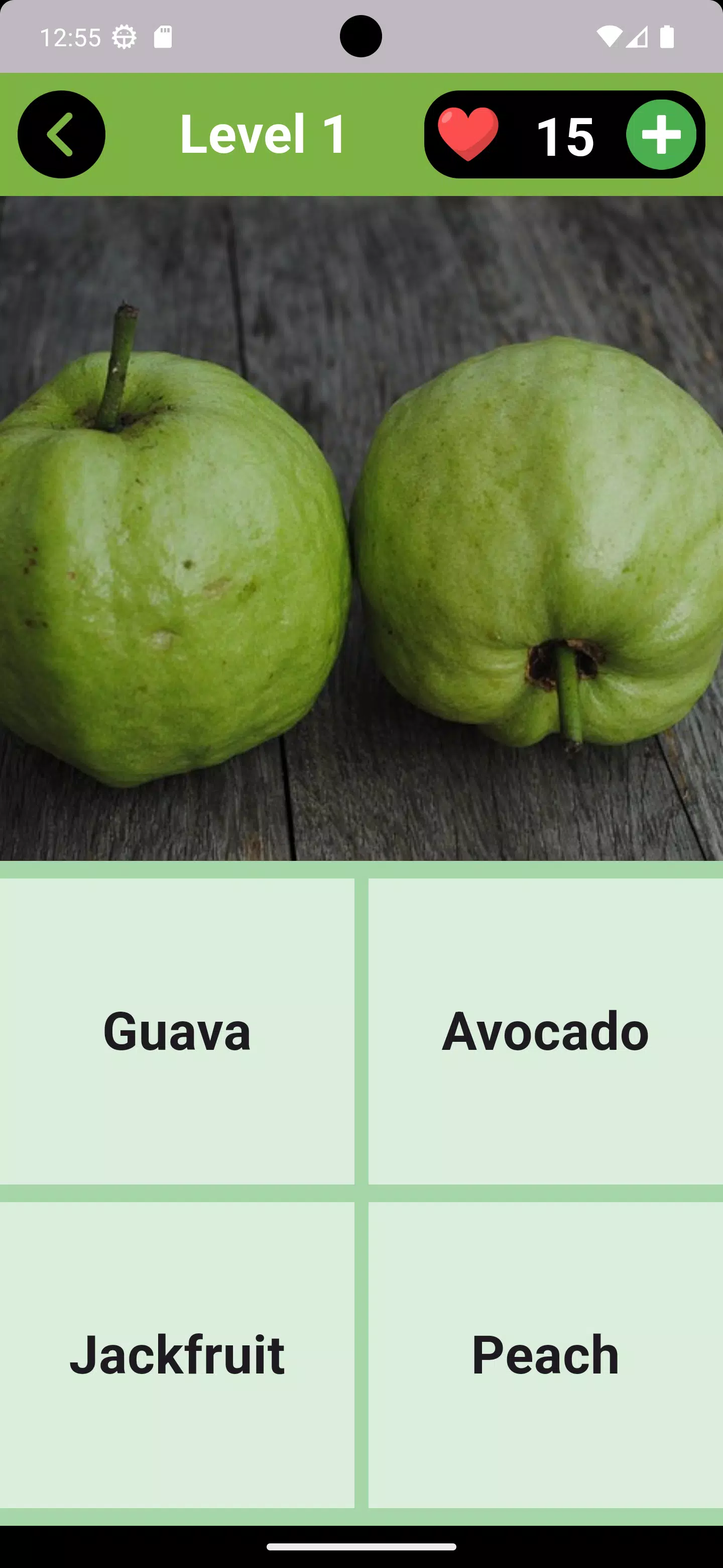 Fruits Quiz - Learn Fruit Name Screenshot1