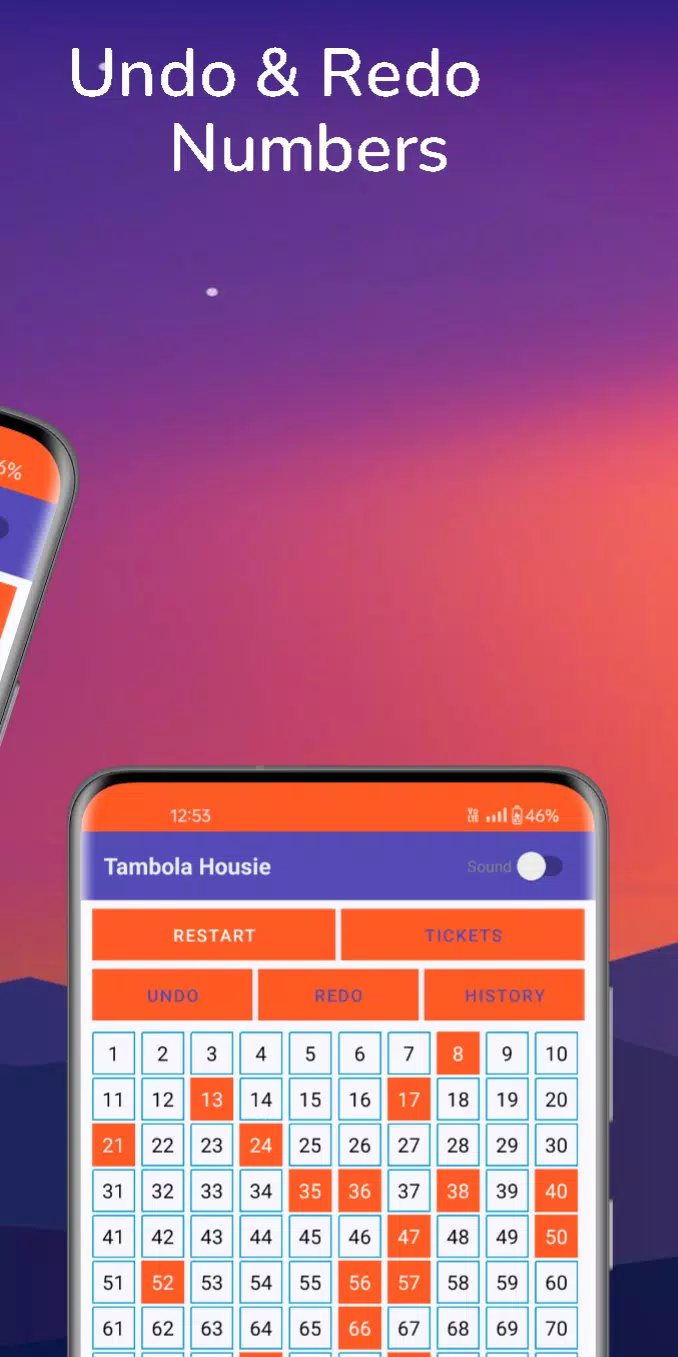 Tambola Housie - Coin Picker Screenshot2