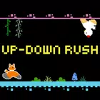 Up-Down Rush APK