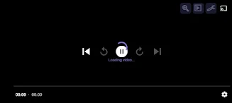 Viz Player Screenshot2