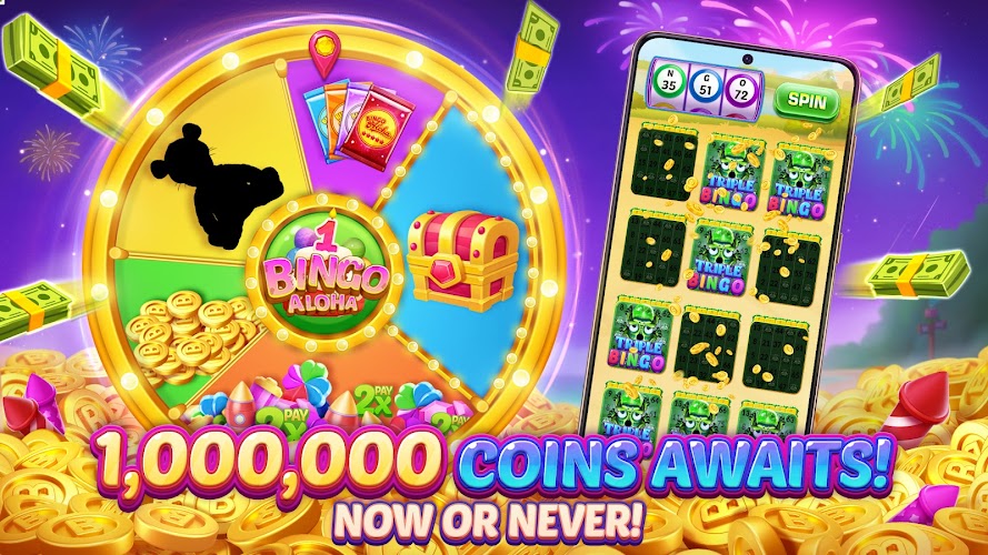 Bingo Aloha Screenshot6