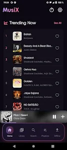 MusiX Pro Offline Music Player Screenshot2