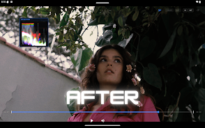 Prismatica Pro Screenshot10