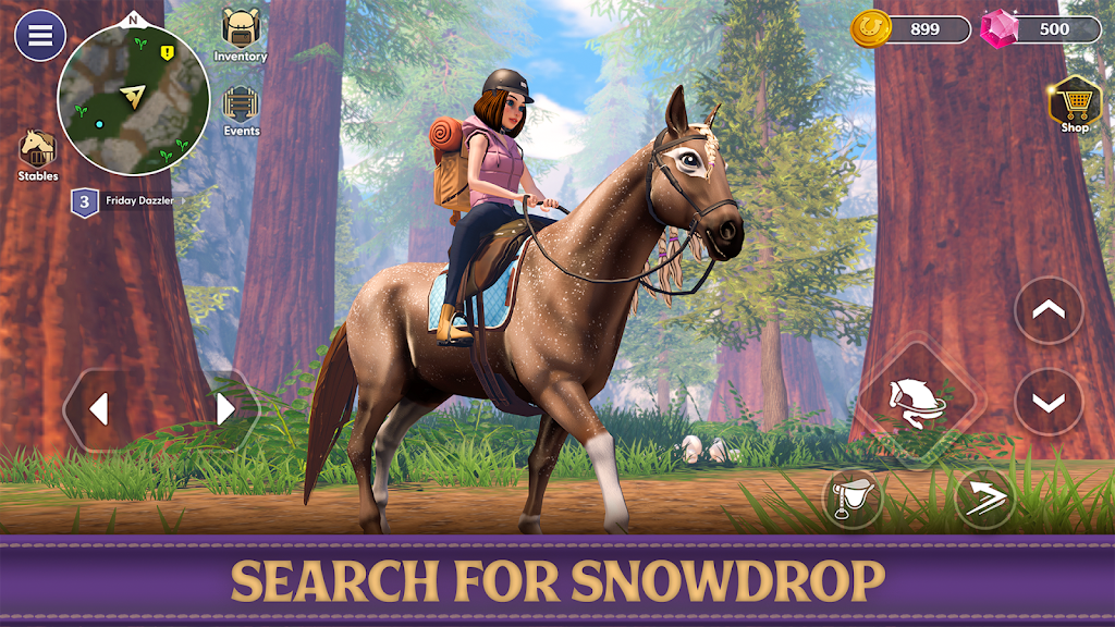Star Equestrian Screenshot11