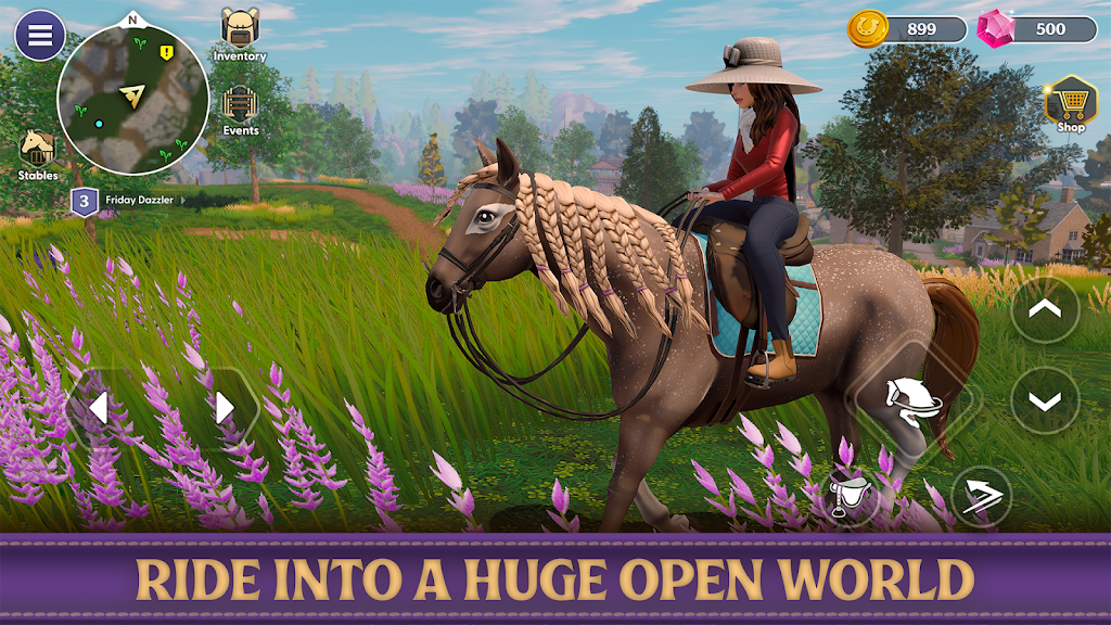 Star Equestrian Screenshot32