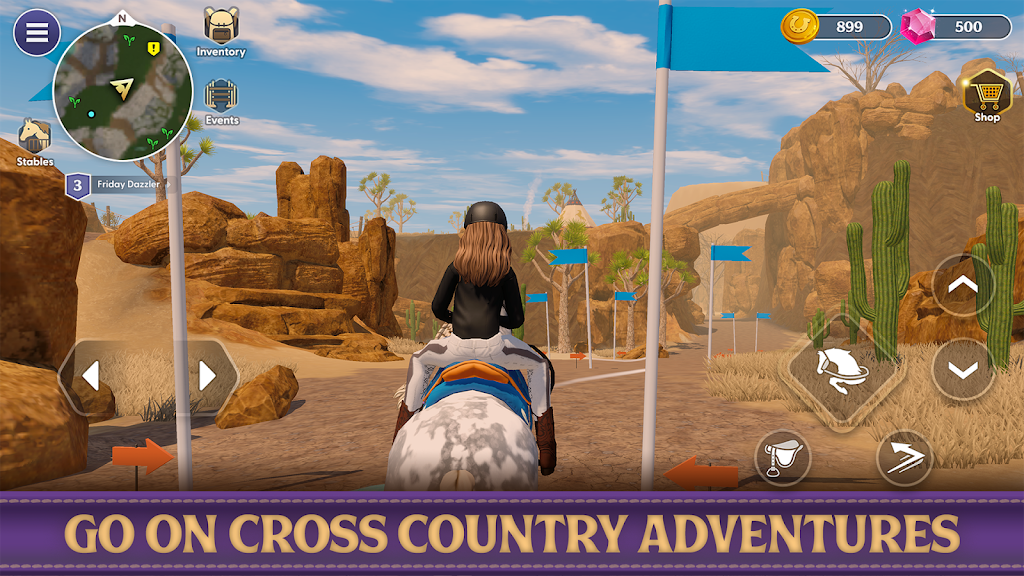 Star Equestrian Screenshot30