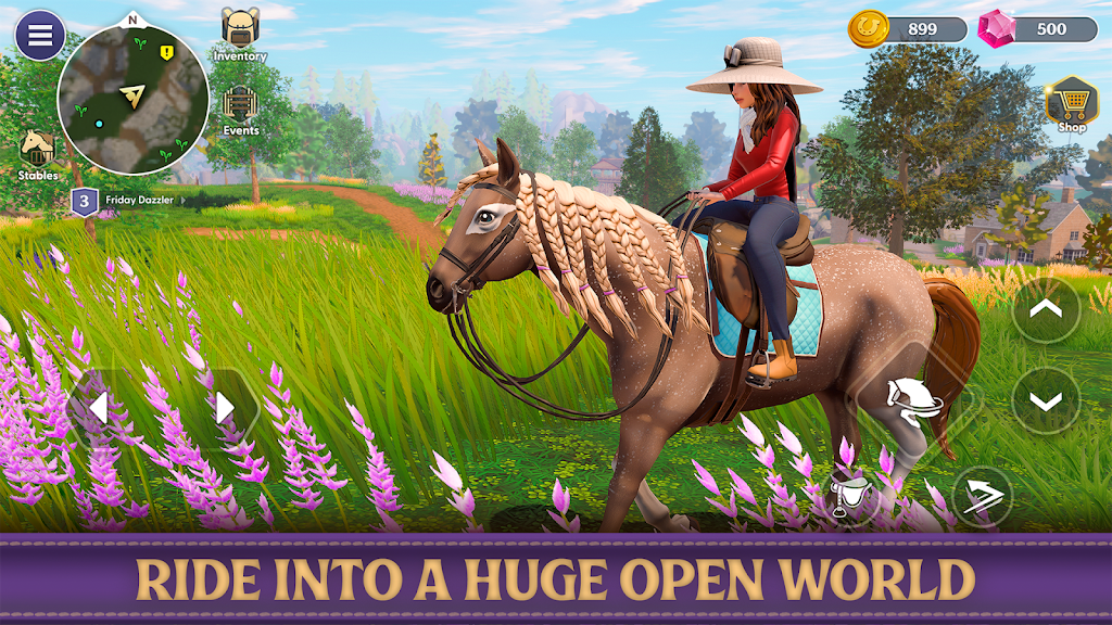 Star Equestrian Screenshot24