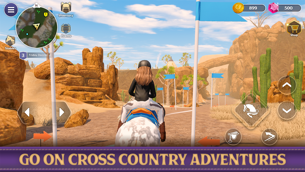 Star Equestrian Screenshot6