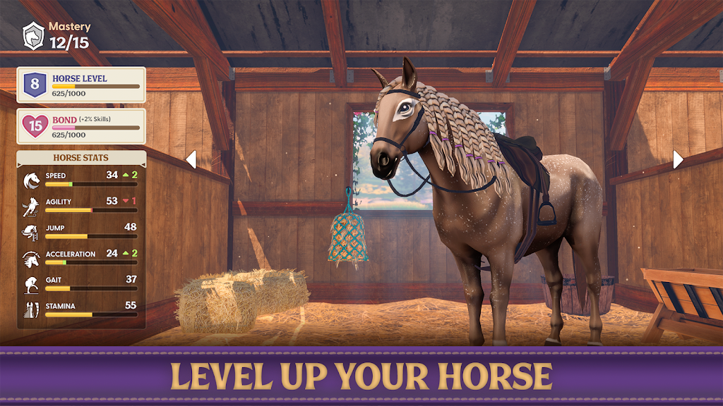 Star Equestrian Screenshot13