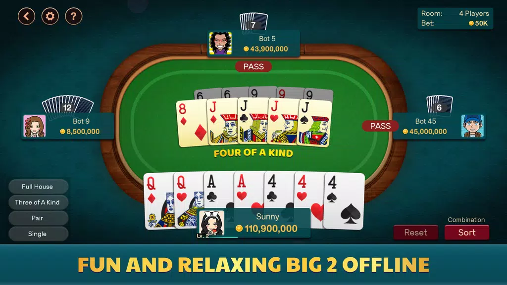 Big 2 Offline Screenshot1
