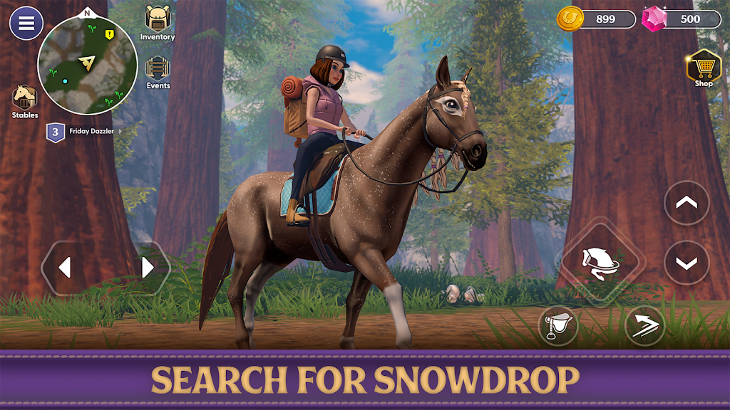 Star Equestrian Screenshot27