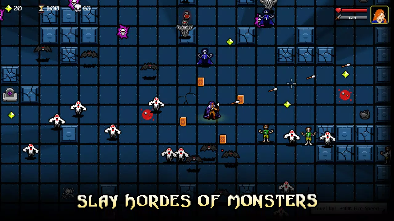 Deathly Dungeons Screenshot2