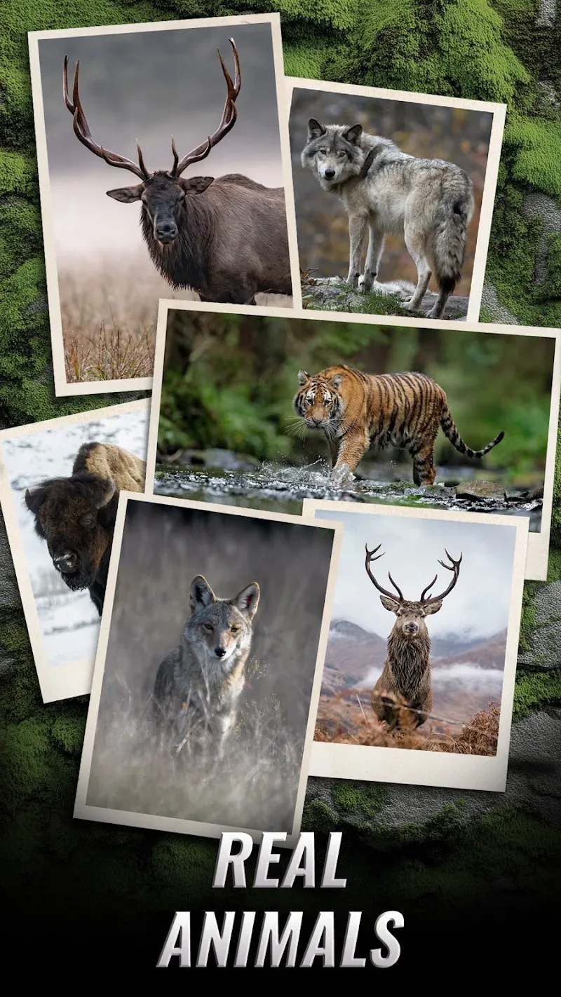 Trophy Hunter – Hunting Game Screenshot1